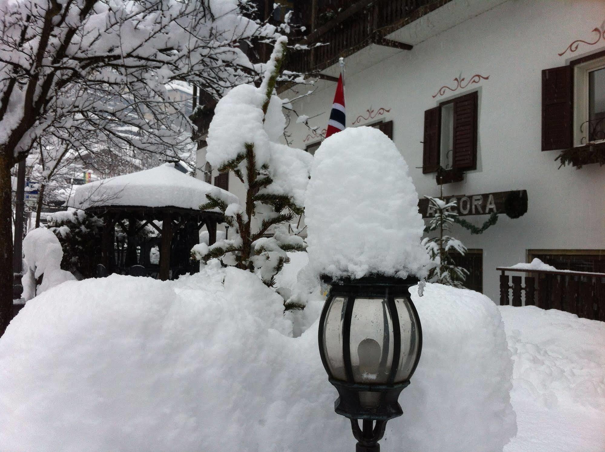 Hotel Ancora Castello-Molina di Fiemme Εξωτερικό φωτογραφία